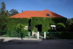 e_15_perkovceva_dalmatinska_2 (3)