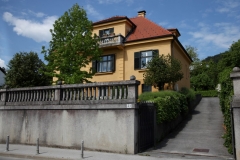 a_25_smidhenova_21_1